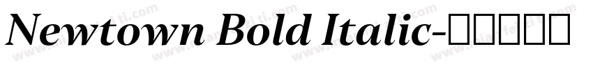 Newtown Bold Italic字体转换